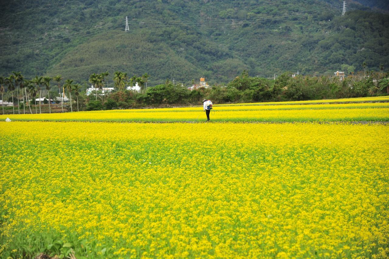 Guanshan Fukuda Homestay Exterior photo